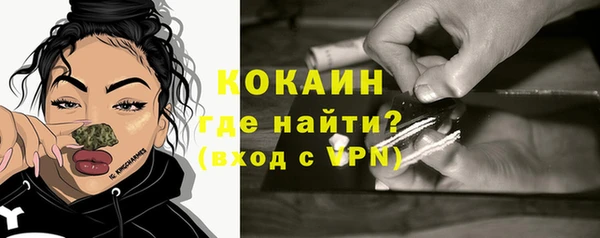 ECSTASY Бородино