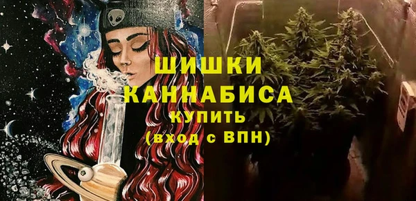мдпв Бронницы