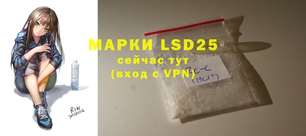 ECSTASY Бородино
