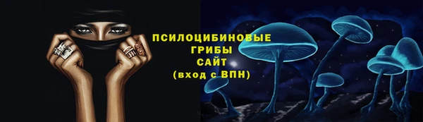 мдпв Бронницы
