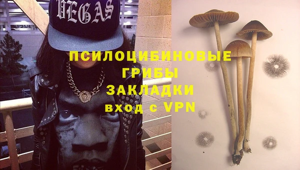 ECSTASY Бородино
