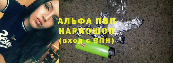 ECSTASY Бородино