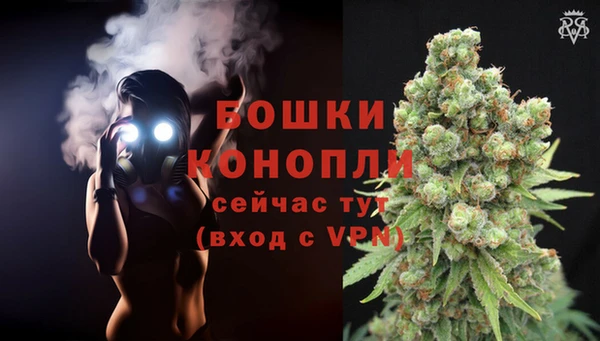 ECSTASY Бородино