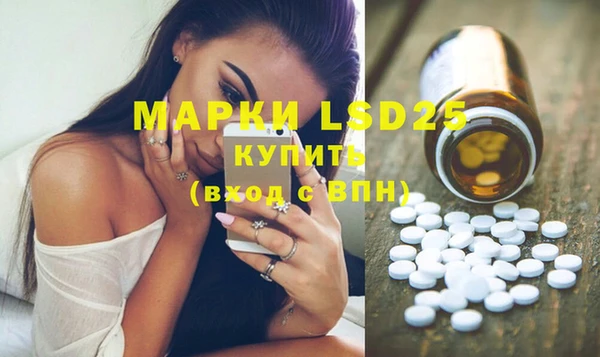 ECSTASY Бородино