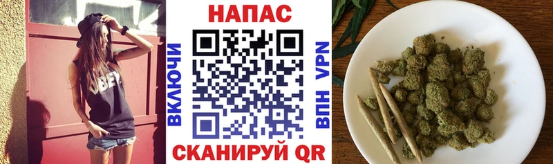 Бошки Шишки гибрид  купить наркоту  Торопец 